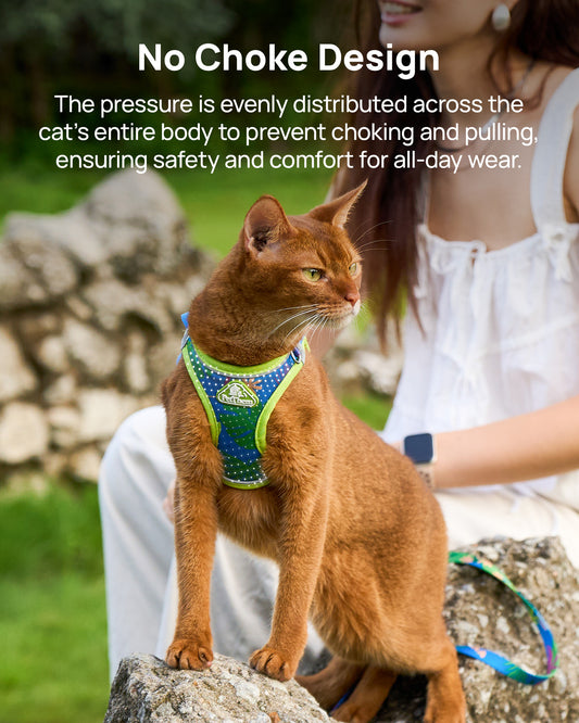 Step-in Escape Proof Cat Vest and Leash Set