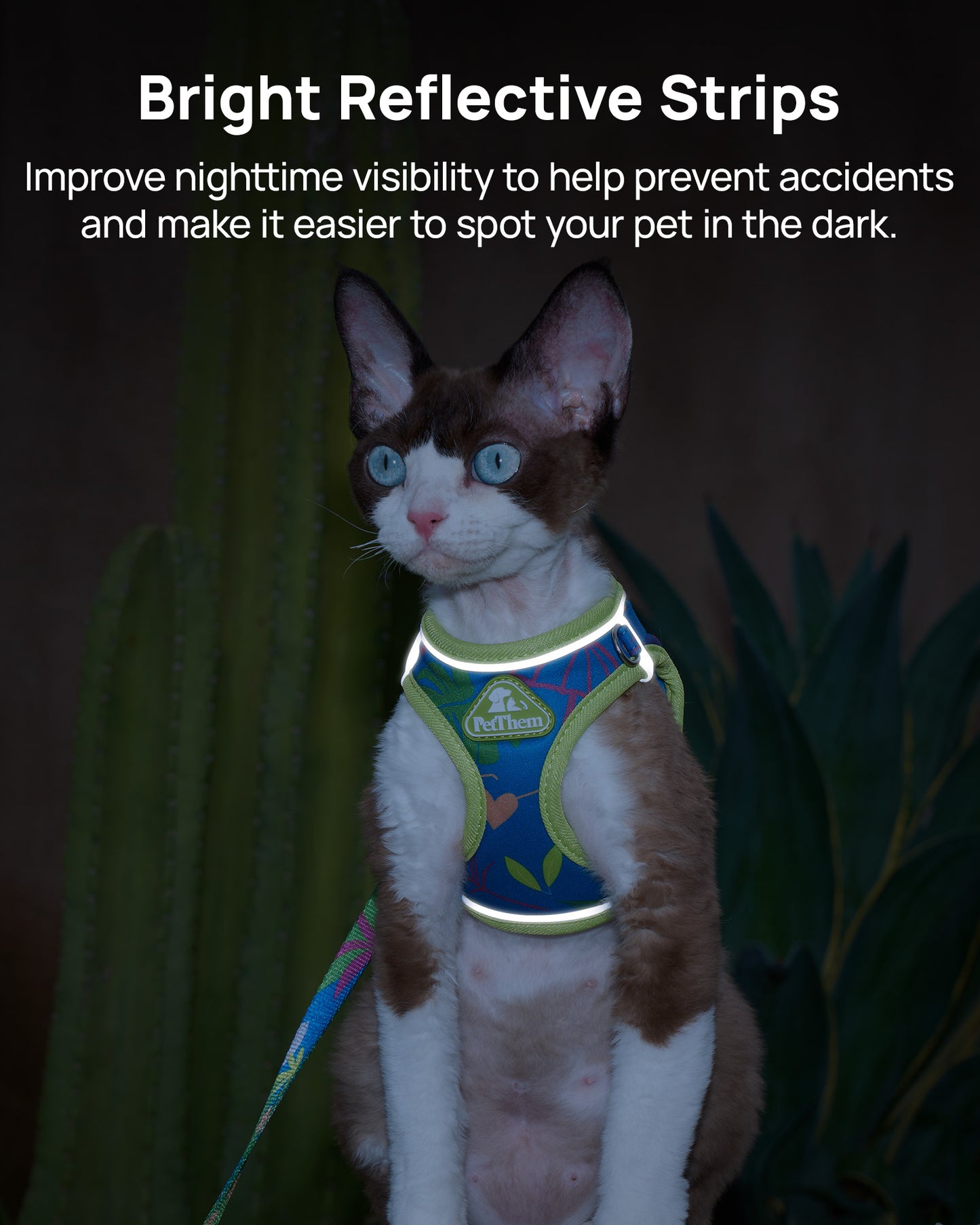 Step-in Escape Proof Cat Vest and Leash Set