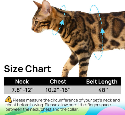 Escape Proof Cat Harness and Leash Set
