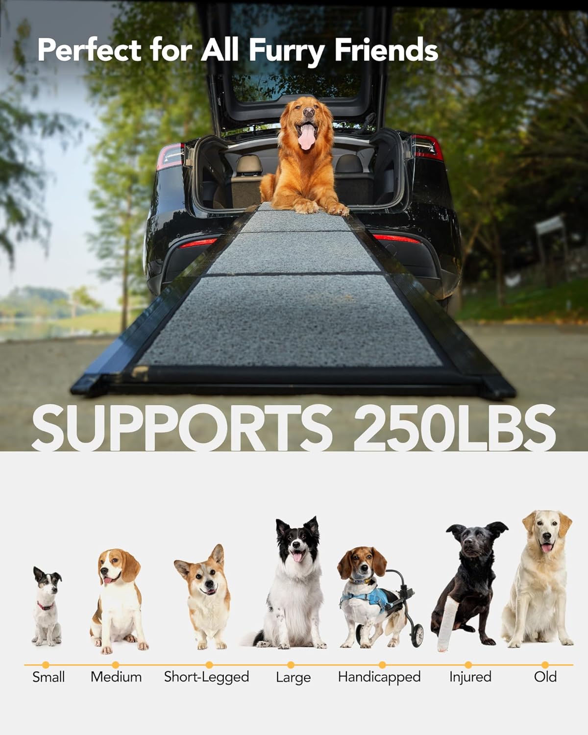 Dog Car Ramp with Non-Slip Rug Surface