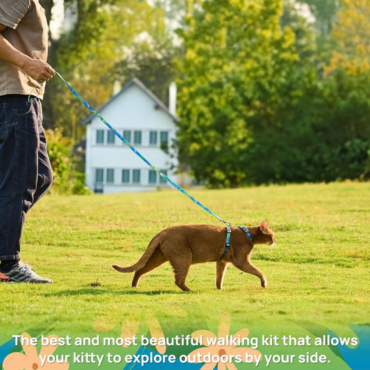 Escape Proof Cat Harness and Leash Set