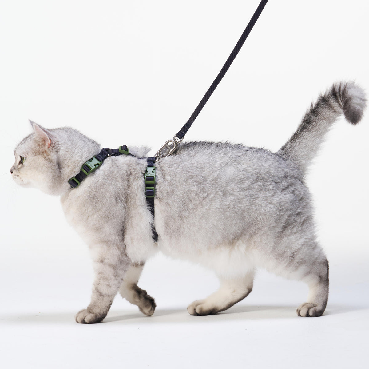 Escape Proof Cat Harness and Leash Set