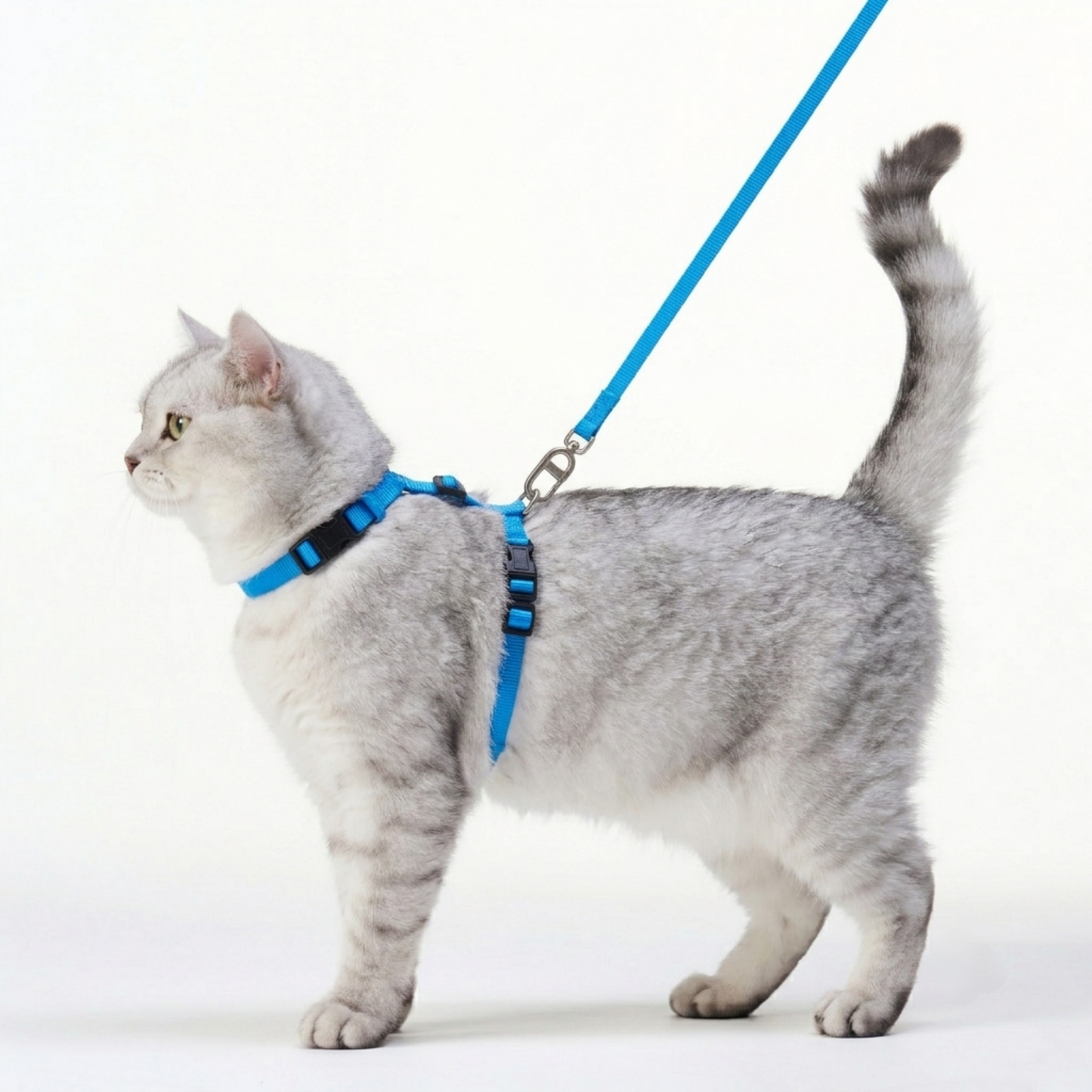 Escape Proof Cat Harness and Leash Set
